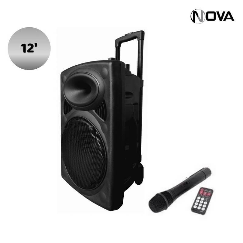 Woofer HiFi Enceintes Bluetooth USB Radio FM rechargeable avec Micro