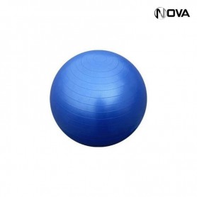 Swiss Ball Ballon de Yoga Pilate Fitness Anti Eclatement 55CM SPT105
