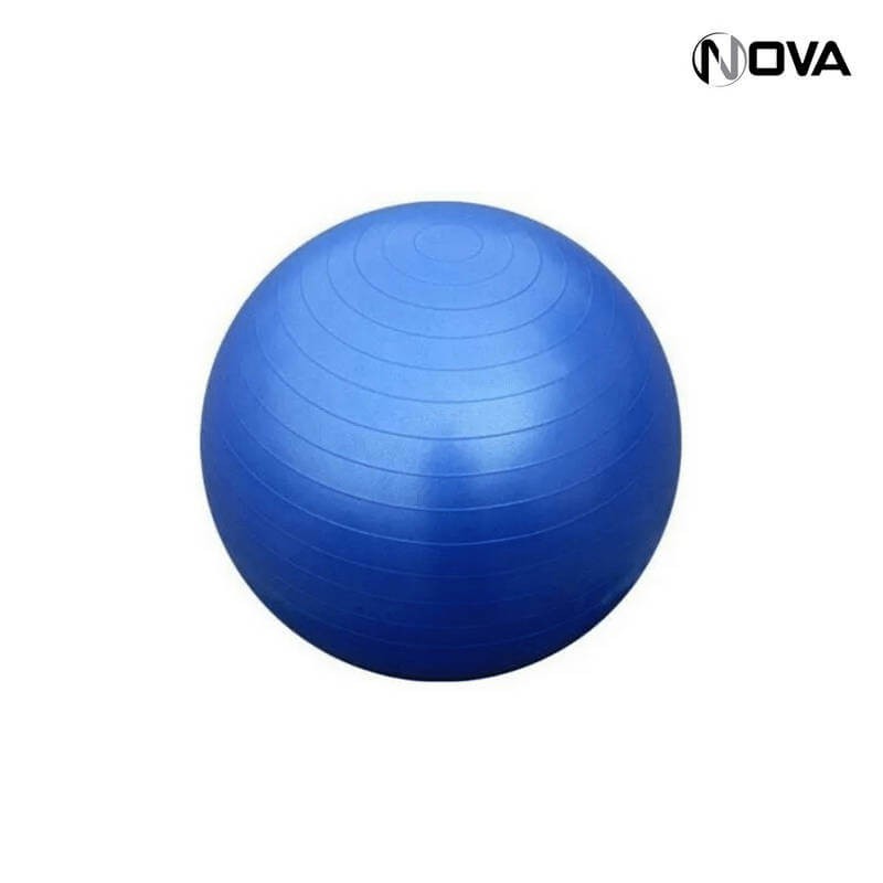 Swiss Ball Ballon de Yoga Pilate Fitness pour femme enceinte 65CM
