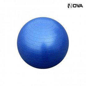 Swiss Ball Ballon de Yoga Pilate Fitness Anti Eclatement 75CM SPT107