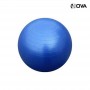 Swiss Ball Ballon de Yoga Pilate Fitness Anti Eclatement 75CM SPT107