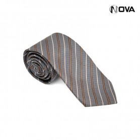 Cravate Homme Avec Motifs CVT251