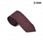 Cravate Homme Avec Motifs CVT252