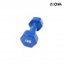 Haltères 1KG Fitness et Musculation SPT285