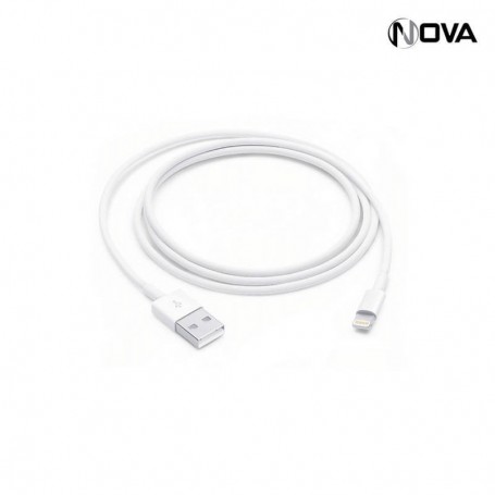 Apple Lightning to USB Cable 1M Original CBL6