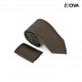 Ensemble Cravate Mouchoir De Poche Premium CVT263