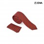 Ensemble Cravate Mouchoir De Poche Premium CVT293