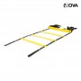 Echelle de Rythme 12M Vitesse et Agilite SPT393