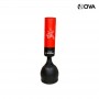 Punching Sac de Boxe Debout Hauteur 170CM SPT394
