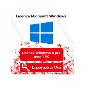 LICENCE MICROSOFT WINDOWS 11 PRO