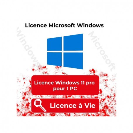 LICENCE MICROSOFT WINDOWS 11 PRO