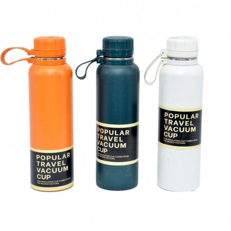 Gourde de voyage en acier inoxydable - 3 couleurs modernes - GDE426