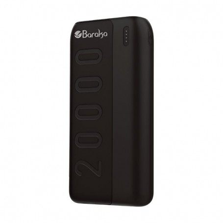 Power Bank 20000mAh - 2 Sorties USB et Entrée Micro Type-C BRK-PB17