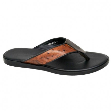 Tongs Homme Élégantes Marron Dakar - SDL3026