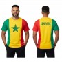 T-shirt Drapeau Sénégal – Supporter – TSH924