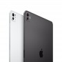 Apple iPad Pro M5 13 pouces 256 Go Wi-Fi + Cellular