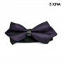 Noeud papillon imprimé CVT105